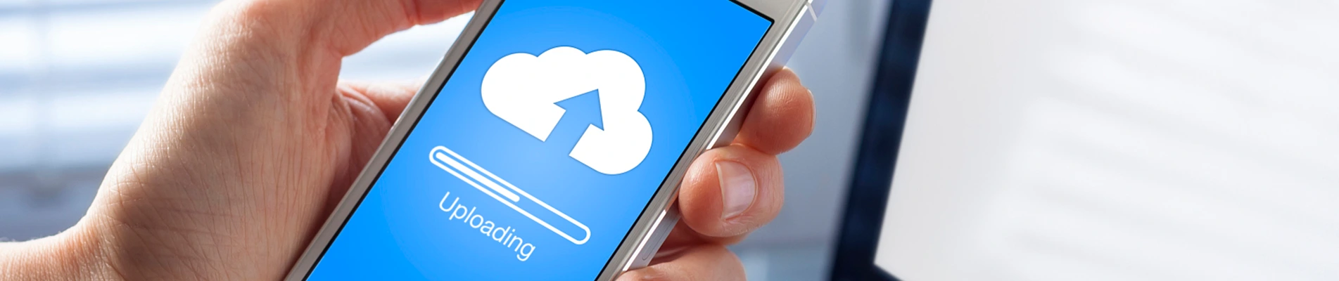 డౌన్‌లోడ్ చేయండి